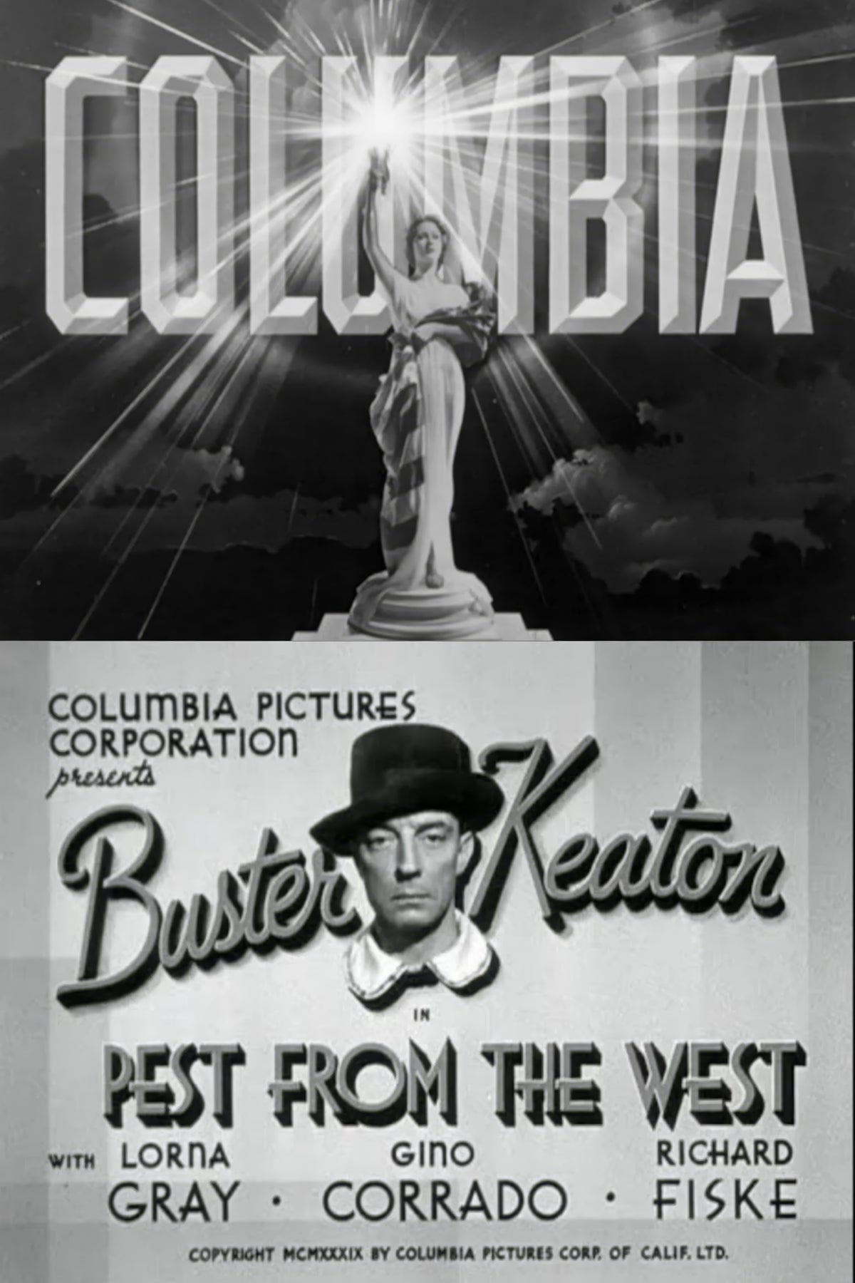 Pest from the West (1939) Film/Movie Premium Waterproof & Tear Resistant Posters