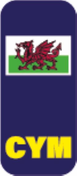 Motorcycle number plate stickers Various Styles Available PLATE13-24