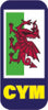 PLATE13-24 GB car number plate stickers union jack no eu flag brexit - Vinyl Car Various Flags Available