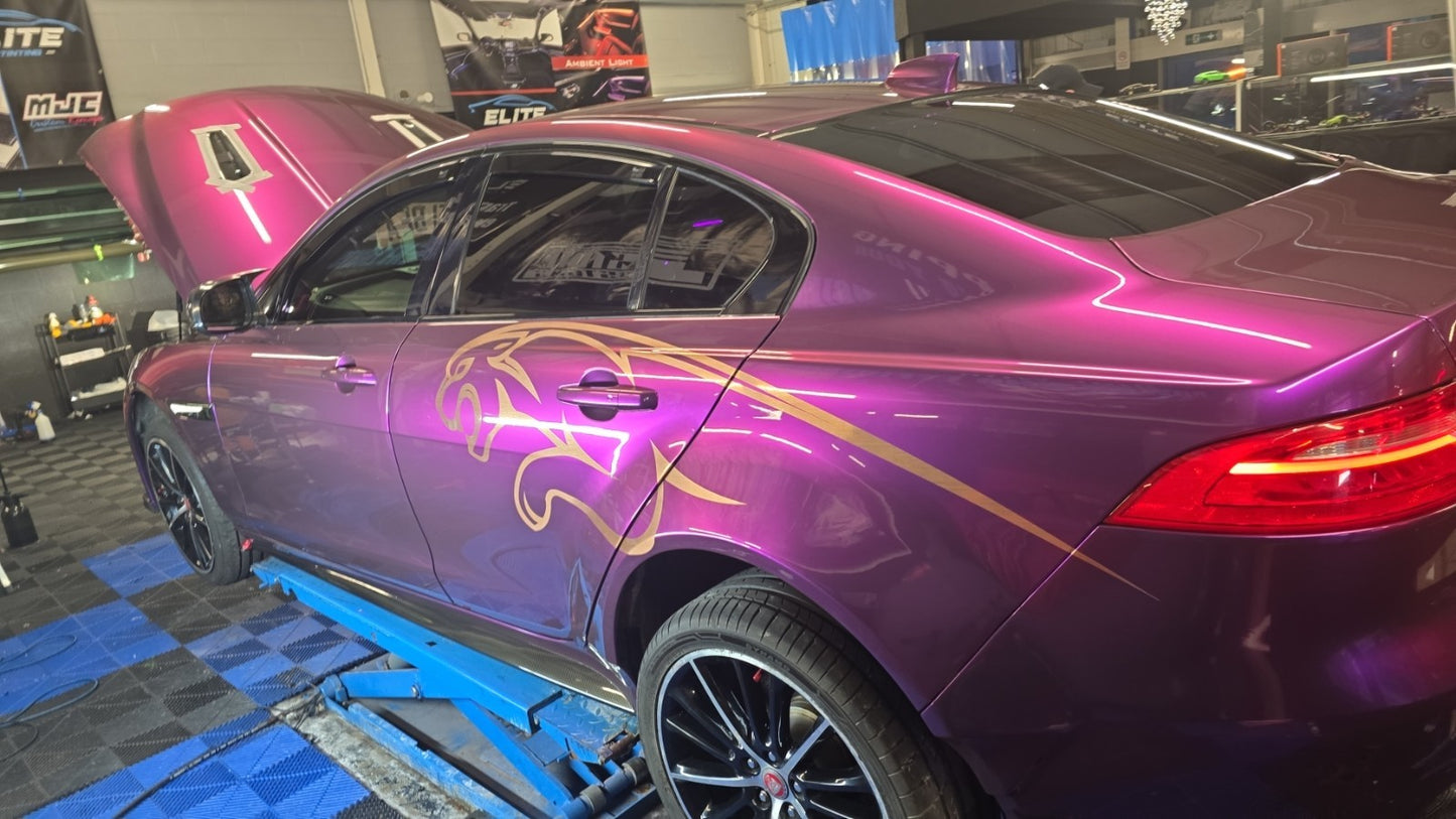 CUSTOM Leaping Big Cat graphics decals stickers