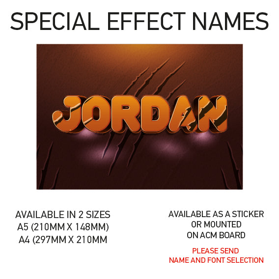 SEN01-60 Personalised Name door stickers kids bedroom Boy Girl Custom Nursery
