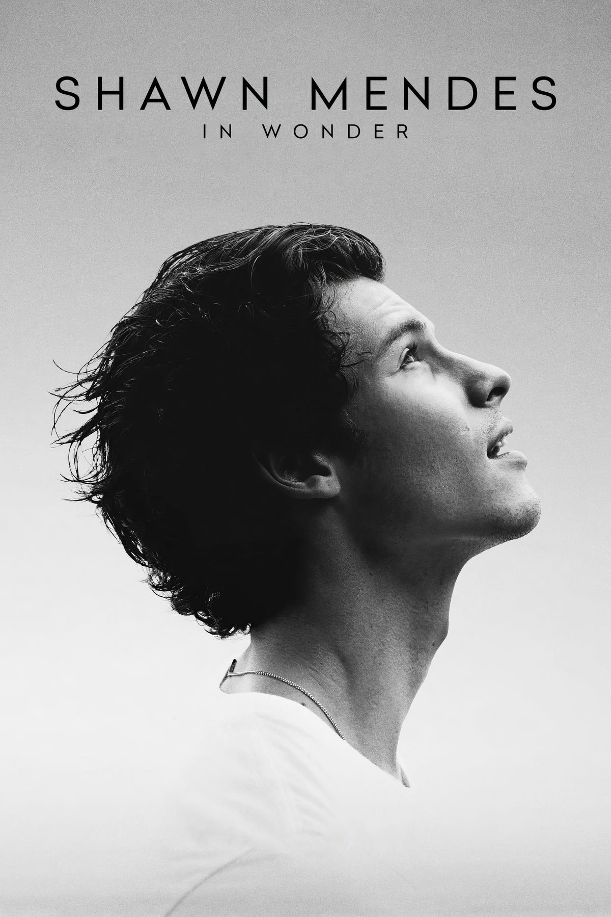 Shawn Mendes In Wonder (2020) Film/Movie Premium Waterproof & Tear Resistant Posters