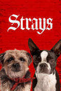 Strays (2023) Film/Movie Premium Waterproof & Tear Resistant Posters