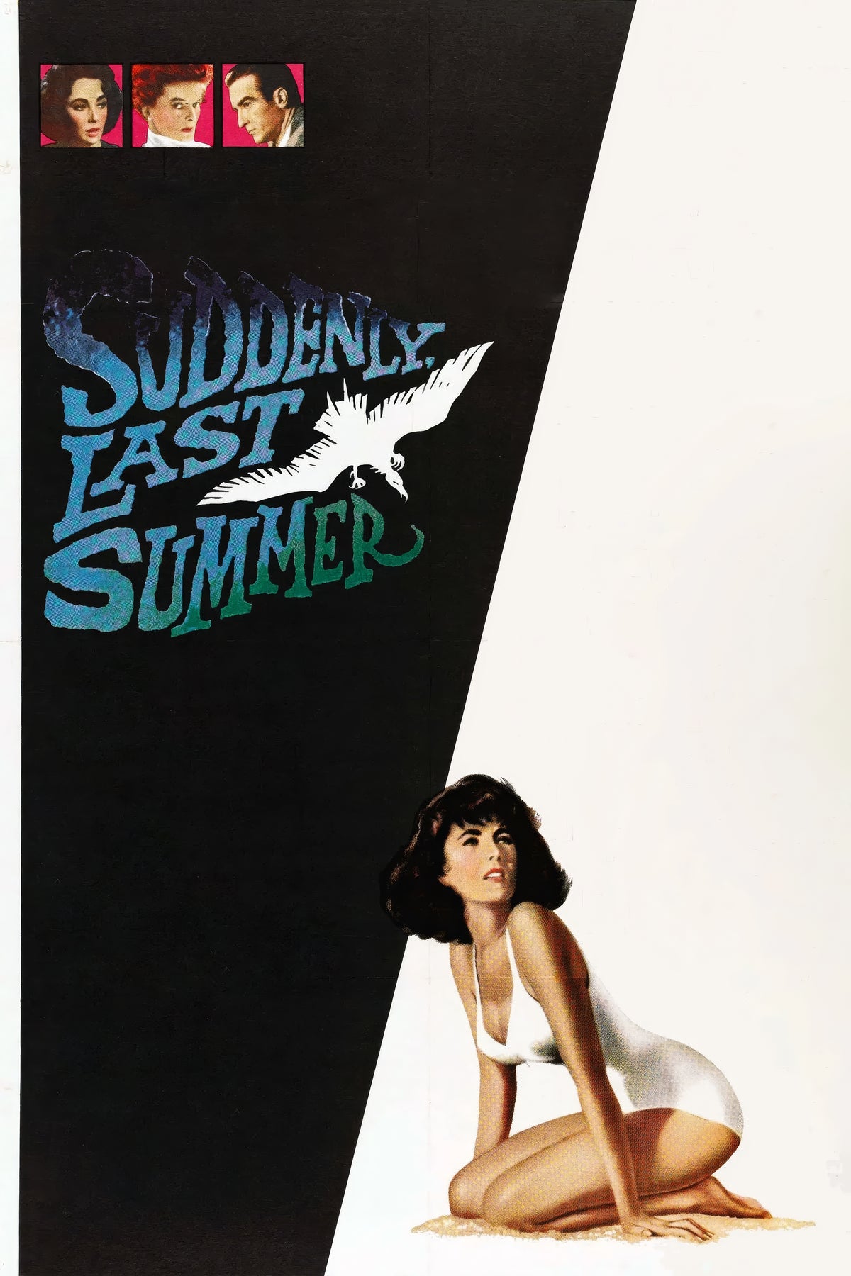 Suddenly, Last Summer (1959) Film/Movie Premium Waterproof & Tear Resistant Posters