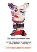 TG18 Harley Quinn Motorcycle Fuel Tank Protector Sticker Graphic Decal Laminated