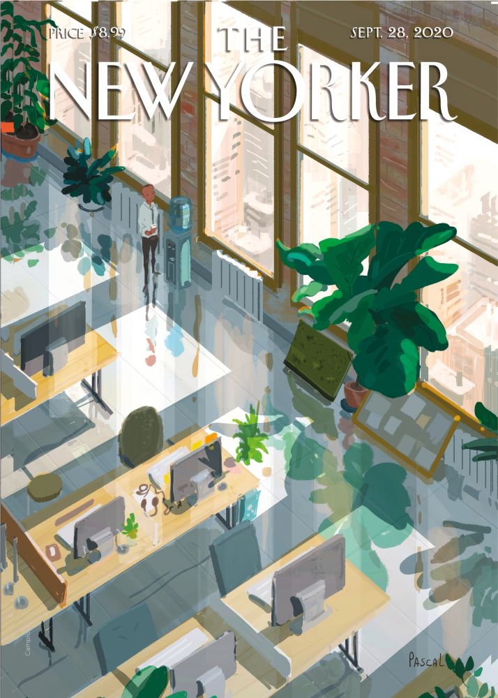 New Yorker Poster Printed | Premium Waterproof & Tear Resistant Full Colour Posters