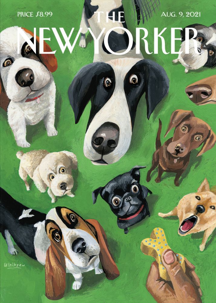 New Yorker Poster Printed | Premium Waterproof & Tear Resistant Full Colour Posters