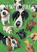 NY107 New Yorker Magazine Cover (2021) Printed | Premium Waterproof & Tear Resistant Full Colour Posters