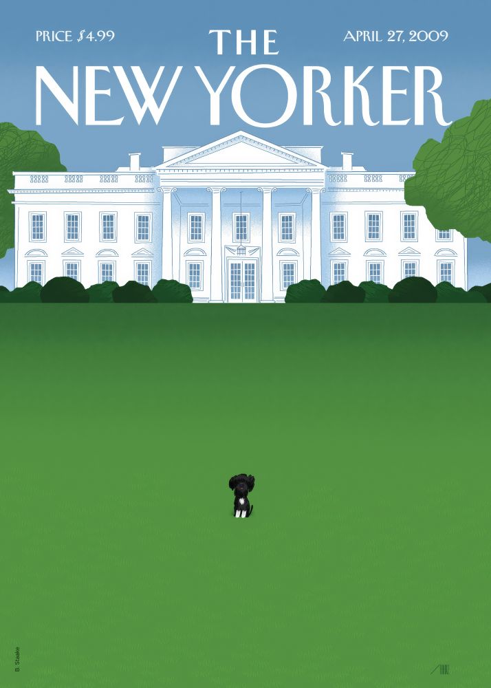 New Yorker Poster Printed | Premium Waterproof & Tear Resistant Full Colour Posters