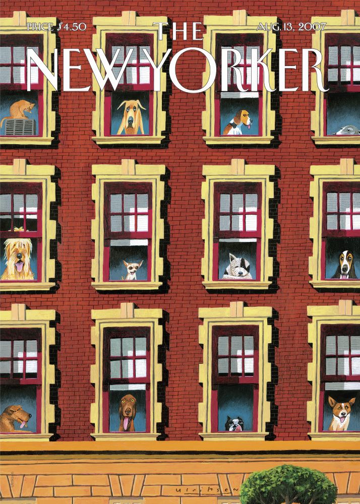 New Yorker Poster Printed | Premium Waterproof & Tear Resistant Full Colour Posters