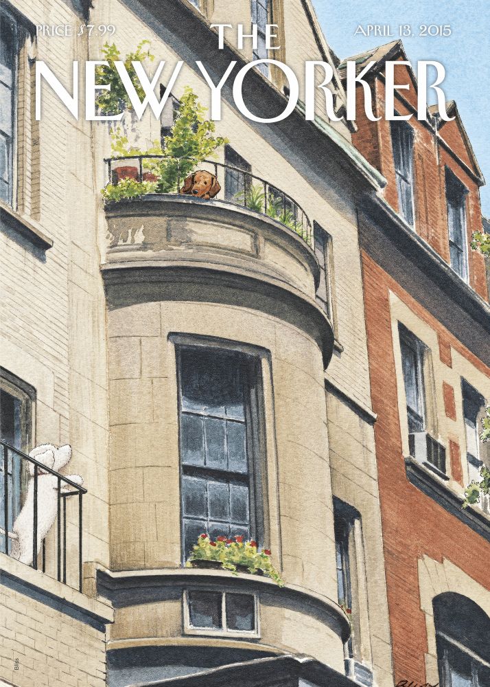 New Yorker Poster Printed | Premium Waterproof & Tear Resistant Full Colour Posters