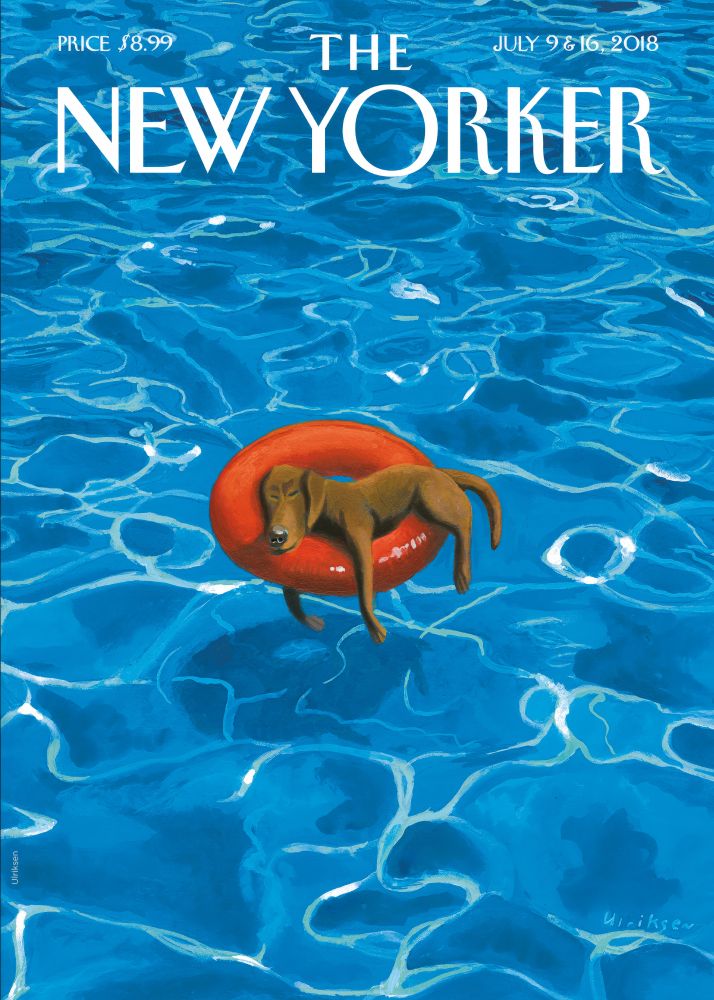 New Yorker Poster Printed | Premium Waterproof & Tear Resistant Full Colour Posters