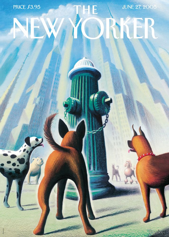 New Yorker Poster Printed | Premium Waterproof & Tear Resistant Full Colour Posters