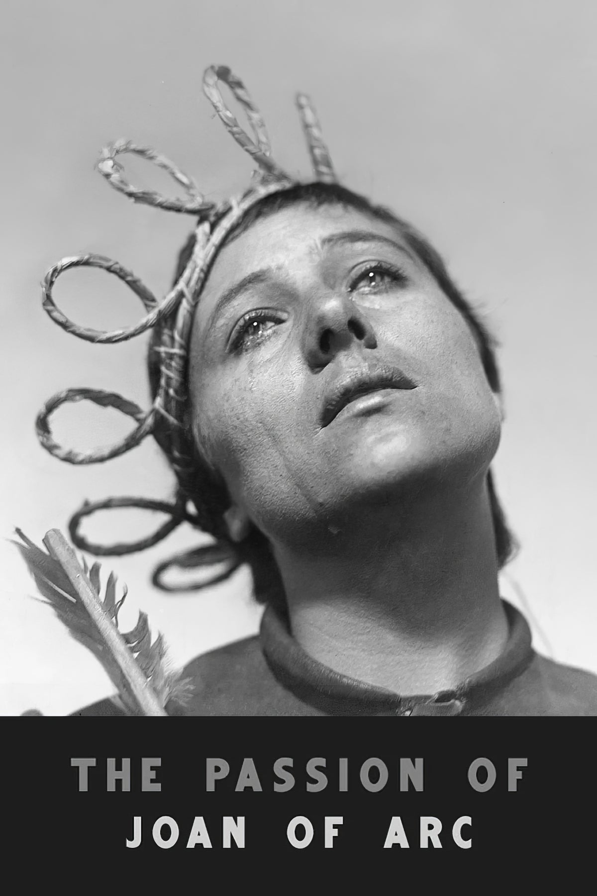 1920 The Passion of Joan of Arc (1928) Film/Movie Premium Waterproof & Tear Resistant Posters
