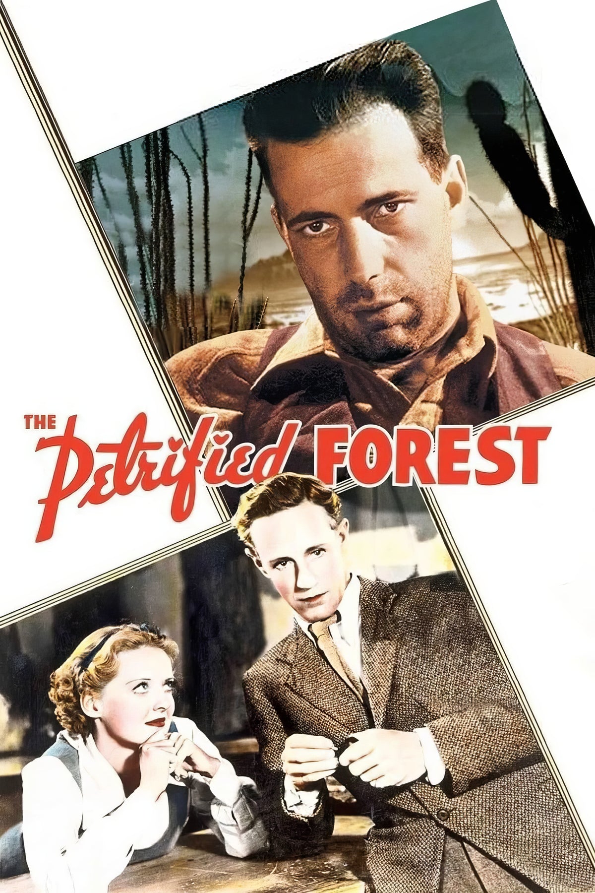 The Petrified Forest (1936) Film/Movie Premium Waterproof & Tear Resistant Posters