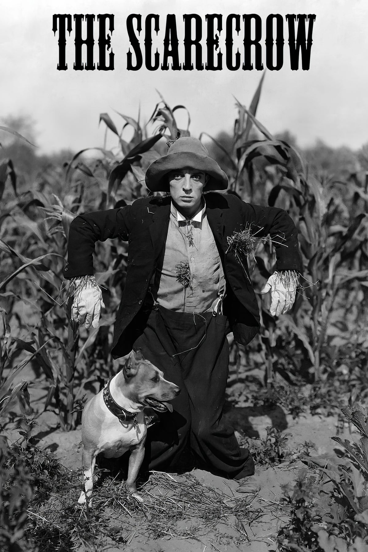 1920 The Scarecrow (1920) Film/Movie Premium Waterproof & Tear Resistant Posters