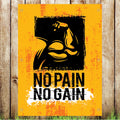 VB013 No Pain No Gain Gym Business Advertising Banner Indoor/Outdoor Waterproof PVC