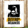 VB040 Destroy Weakness Gym Advertising Business Banner Indoor/Outdoor Waterproof PVC