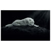 WG004 Night Wolf Printed Wall Sticker Vinyl Various Sizes