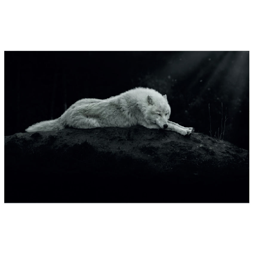 WG004 Night Wolf Printed Wall Sticker Vinyl Various Sizes