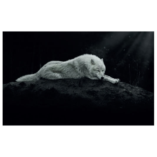 WG004 Night Wolf Printed Wall Sticker Vinyl Various Sizes