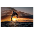 WG017 Orca Whale Jumping In Sea At Night Wall Sticker Vinyl Available in 3 Sizes