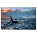 WG019 Orca in the Choppy Sea Wall Sticker Vinyl Available in 3 Sizes