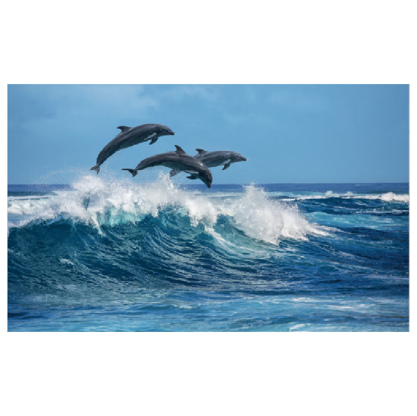 WG020 Three Dolphins Jumping The Waves In The Sea Wall Sticker Vinyl Available in 3 Sizes
