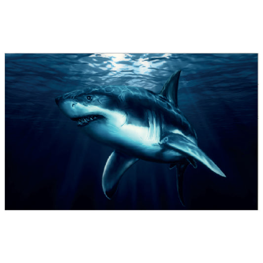 WG022 Shark Printed Wall Sticker Vinyl Various Sizes