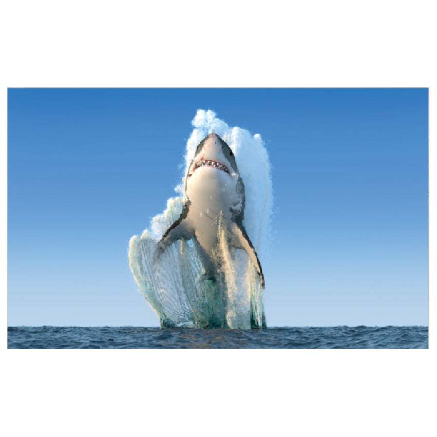 WG024 Shark Jumping Out The Water Wall Sticker Vinyl Available in 3 Sizes