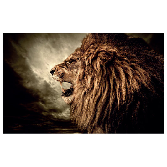 WG025 Lion Printed Wall Sticker Vinyl Various Sizes