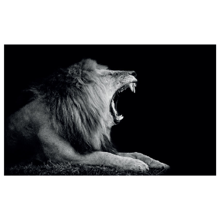 WG028 Roaring Lion Printed Wall Sticker Vinyl Various Sizes