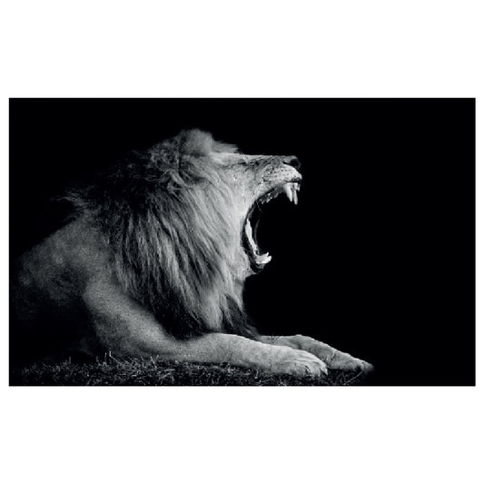 WG028 Roaring Lion Printed Wall Sticker Vinyl Various Sizes