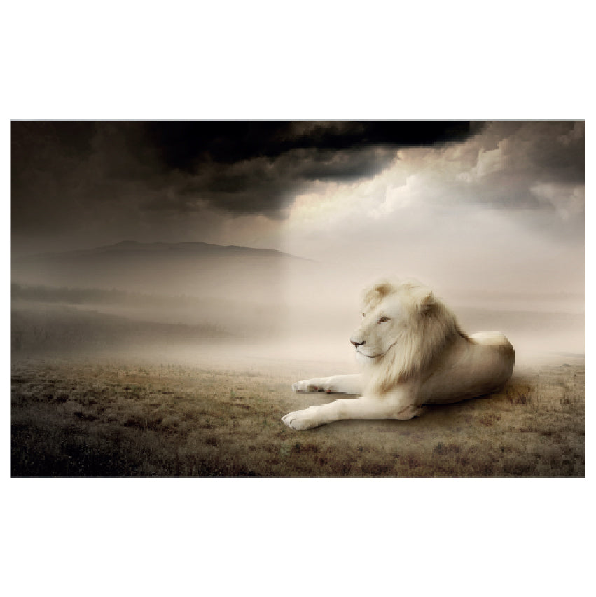 WG029 White Lion Printed Wall Sticker Vinyl Various Sizes