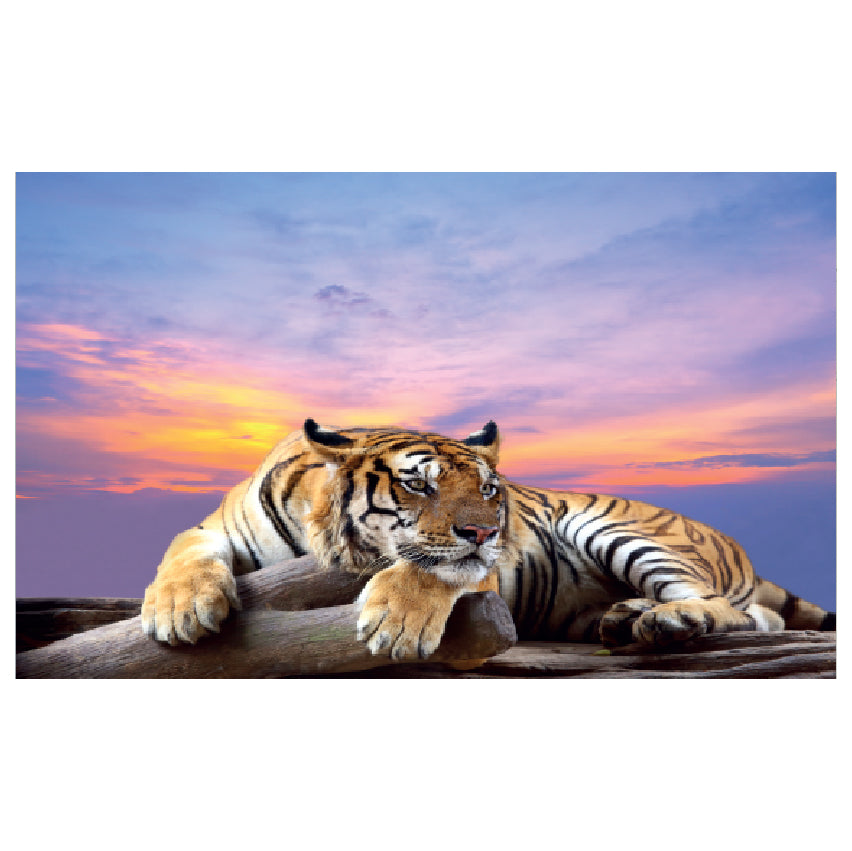 WG030 African Tiger Lying On A Rock In The Sunset Wall Sticker Vinyl Available in 3 Sizes