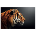 WG031 African Tiger Face Wall Sticker Vinyl Available in 3 Sizes