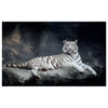 WG033 White Tiger Printed Wall Sticker Vinyl Various Sizes