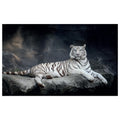 WG033 White African Tiger Lying On A Rock Wall Sticker Vinyl Available in 3 Sizes
