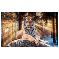 WG034 Tiger Lying In Forrest In The Sunset Wall Sticker Vinyl Available in 3 Sizes