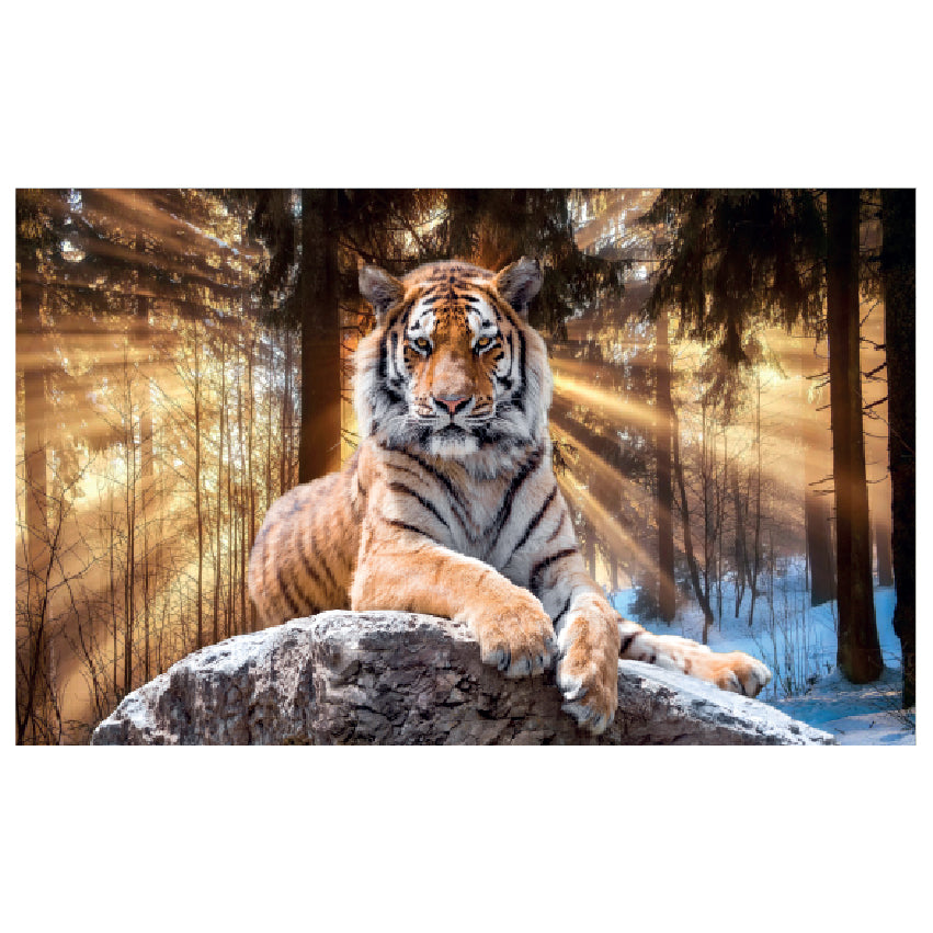 WG034 Tiger Lying In Forrest In The Sunset Wall Sticker Vinyl Available in 3 Sizes