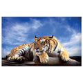 WG035 Safari Tiger Wildlife Lying On a Tree Branch Wall Sticker Vinyl Available in 3 Sizes