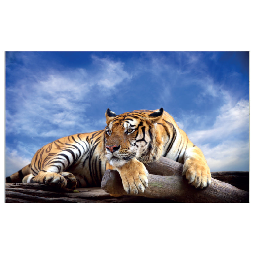 WG035 Safari Tiger Wildlife Lying On a Tree Branch Wall Sticker Vinyl Available in 3 Sizes