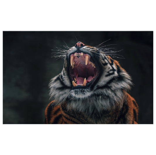 WG036 Tiger Roaring Printed Wall Sticker Vinyl Various Sizes