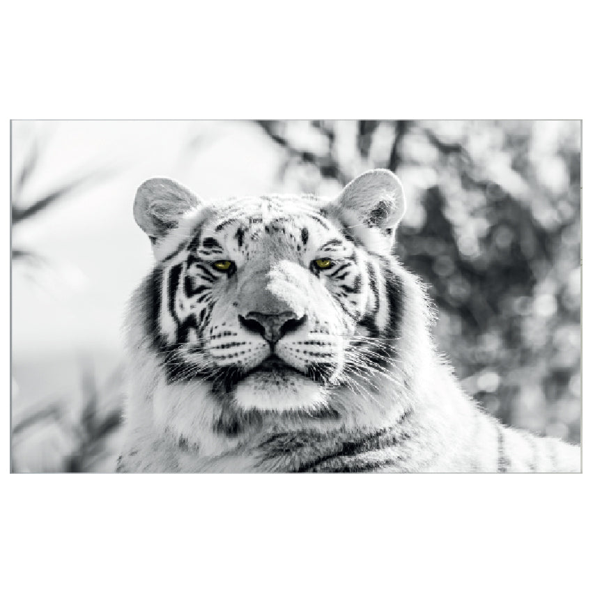 WG041 Black and White Tiger Wall Sticker Vinyl Available in 3 Sizes