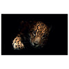 WG042 Leopard Printed Wall Sticker Vinyl Various Sizes