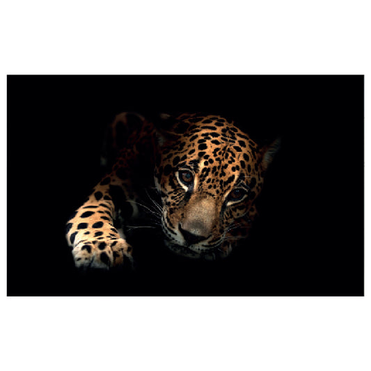 WG042 Leopard Printed Wall Sticker Vinyl Various Sizes