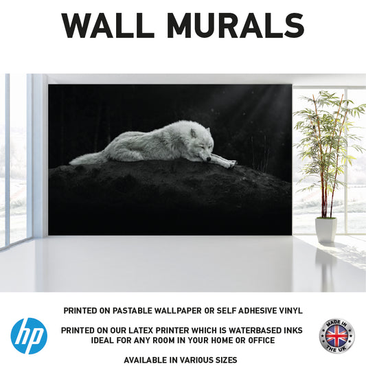 WM0004 Winter wolf Wall Murals WallPaper Print Decal Deco sticker