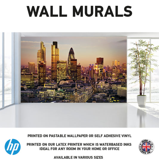 WM0011 City of London at night Wall Murals WallPaper Print Decal sticker