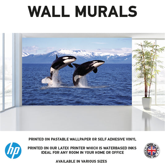 WM0018 Two Orcas Jump In The Sea Wall Murals WallPaper Print Decal sticker