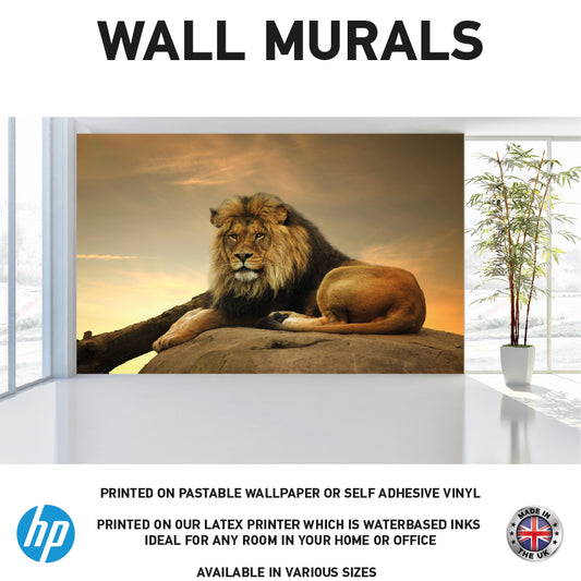 WM0026 Barbary Lion on a Rock at Sunset  Wall Murals WallPaper Print Decal sticker